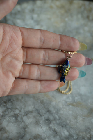 LIL BLUEFISH