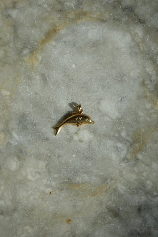 14K DOLPHIN CHARM