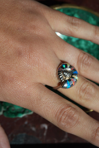 SEASIDE FOREVER SZ 7