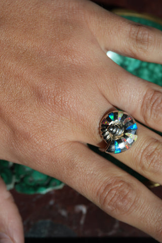 SEASIDE FOREVER SZ 7