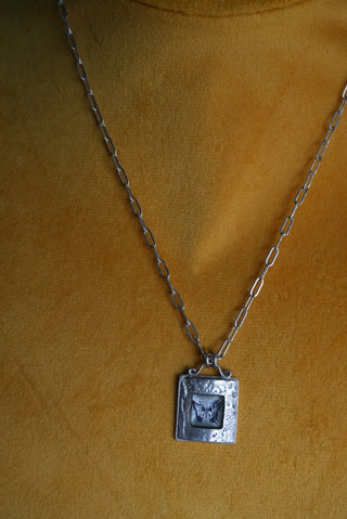 Butterfly Effect - Sterling Framed Butterfly Necklace