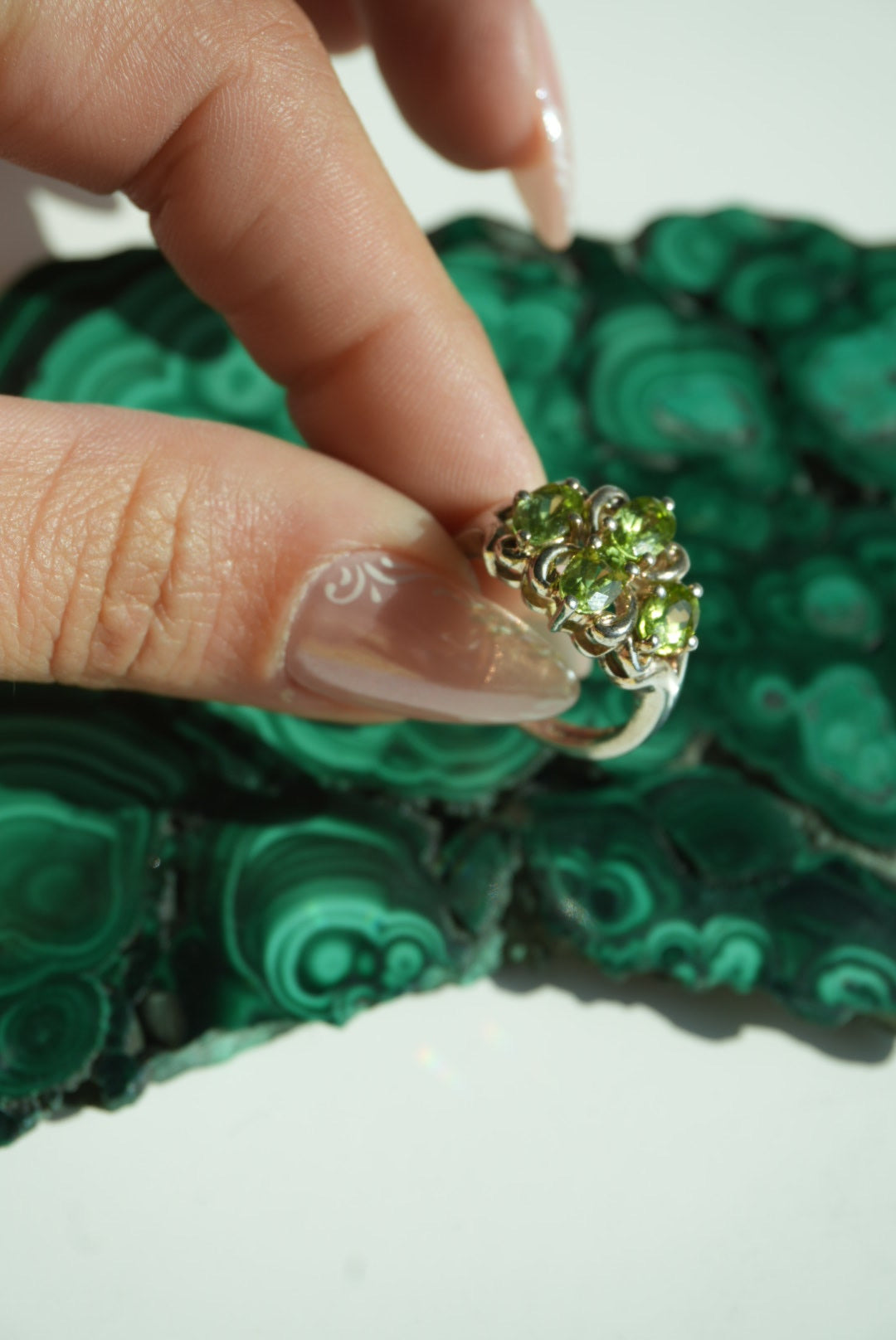 GREEN CLOVER SZ 6