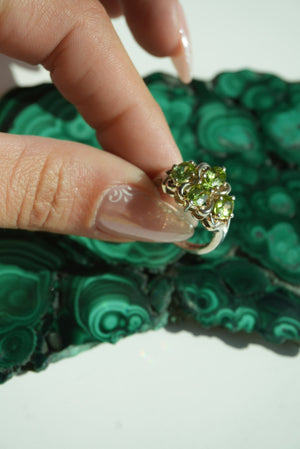GREEN CLOVER SZ 6