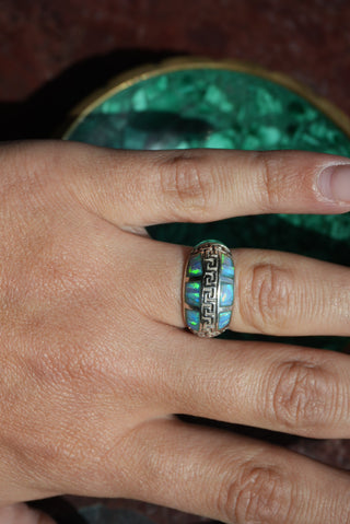 OPAL WORLD SZ 6