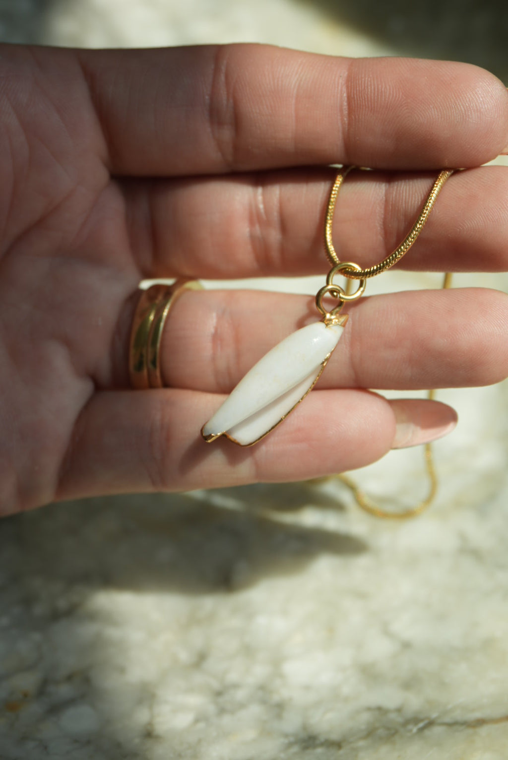 TWISTED SHELLS