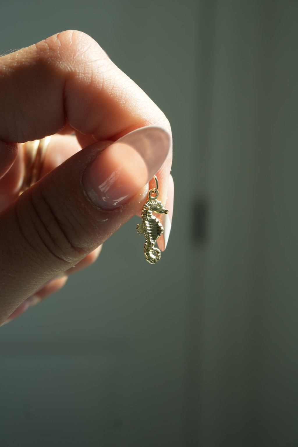 BABY SEAHORSE