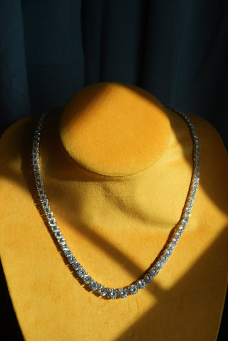 GRADUATED TENNIS STAR