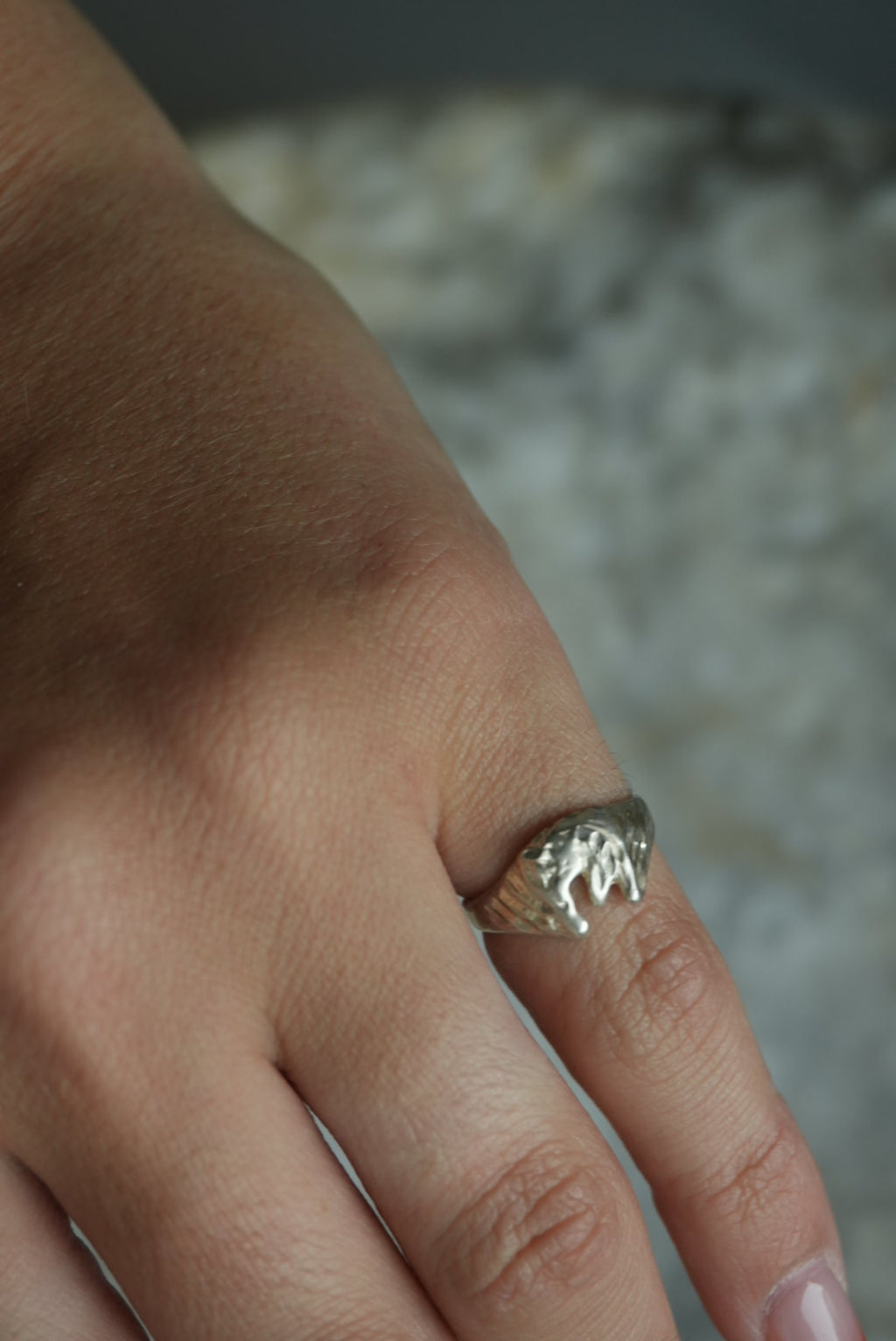 HORSESHOE SZ 4
