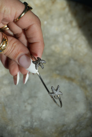 STARFISH COMPLIMENTS