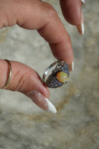 JELLY OPAL DREAMLAND SZ 8