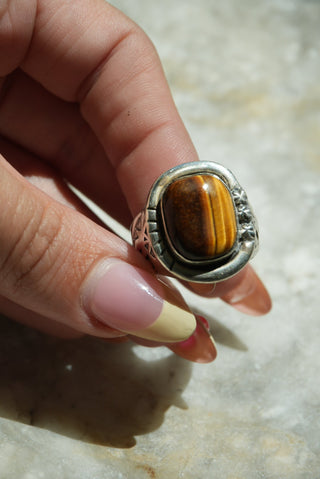 MEXICAN TIGER SZ 12.5