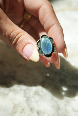 DARK OPAL DAISY SZ 5