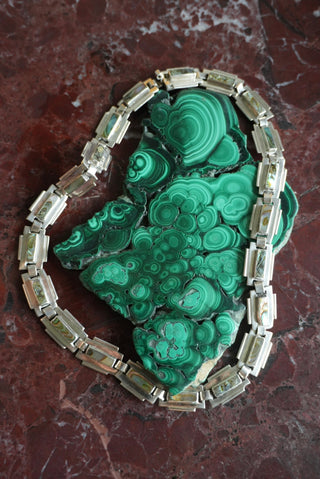 ABALONE WORLD