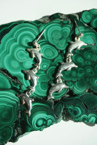 DOLPHIN DANGLERS