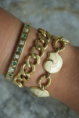 IVORY SHELLS