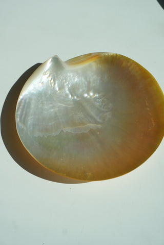 MOTHER OF PEARL SHELL JEWELRY TRAY