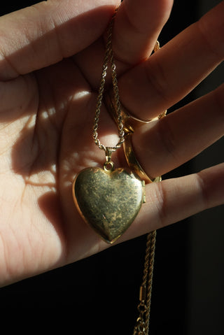 BIRD SONG LOCKET