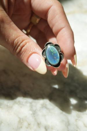 DARK OPAL DAISY SZ 5