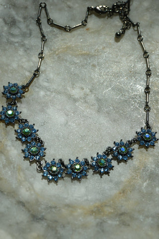 FORGET ME NOTS