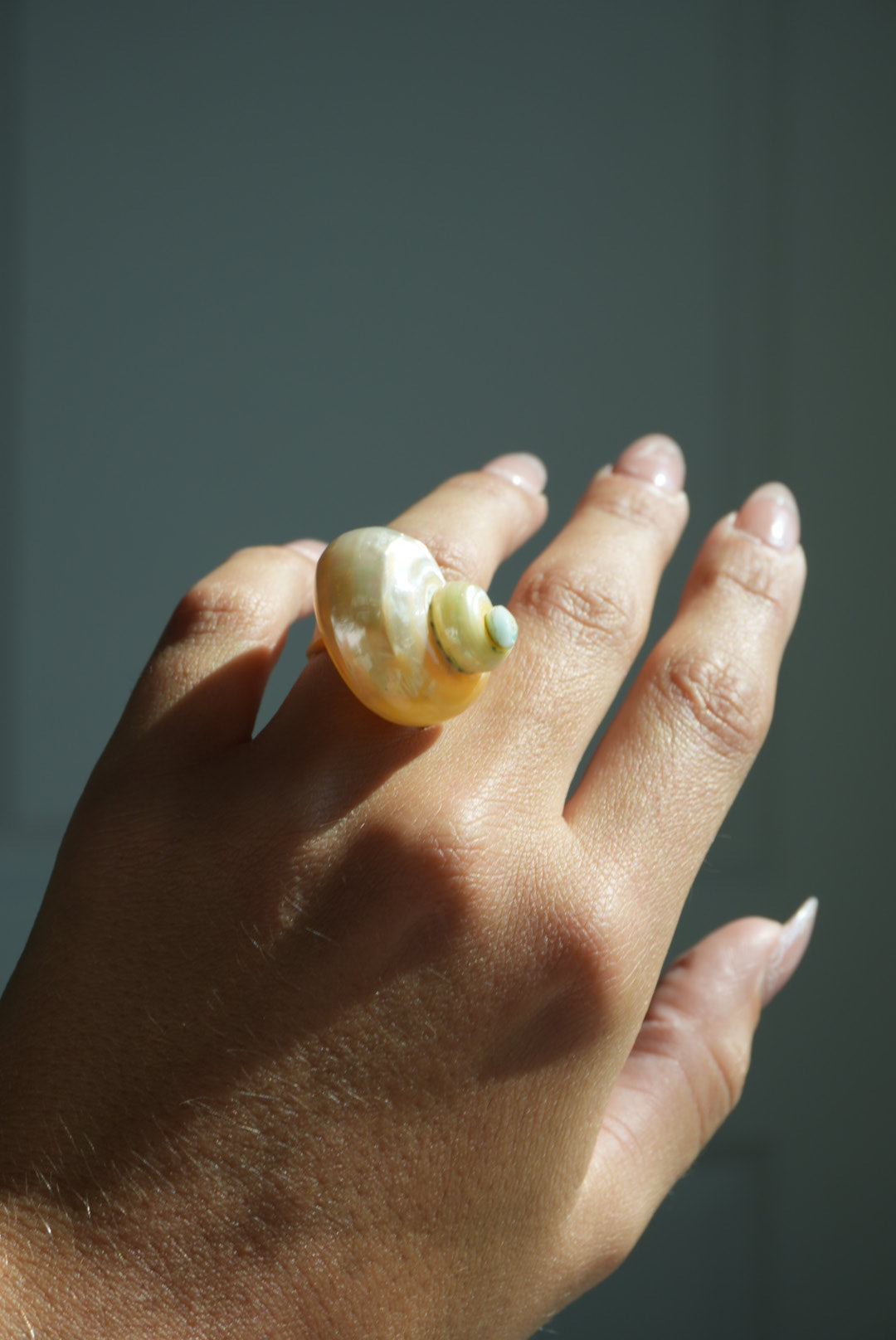 SHELL LEVEL 1000