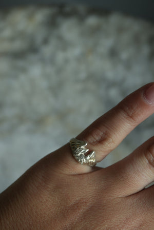 HORSESHOE SZ 4