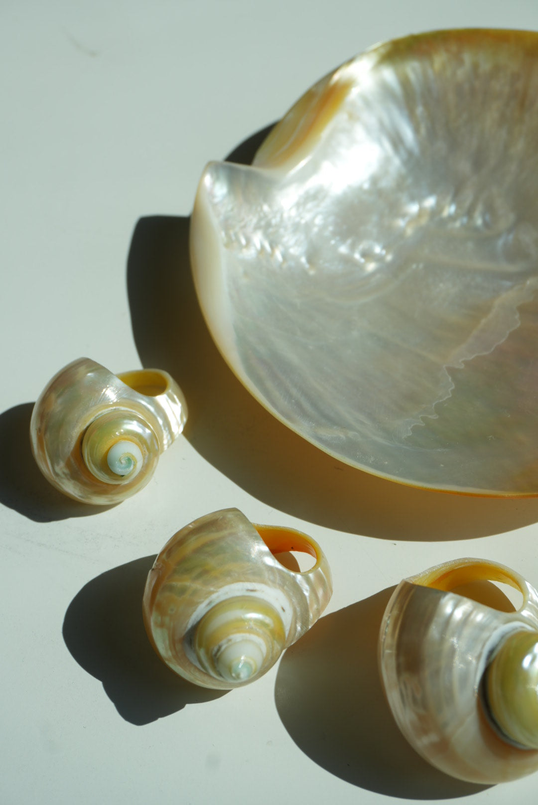 SHELL LEVEL 1000