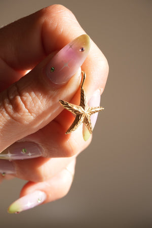 LITTLE STARFISH