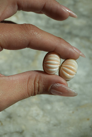 CORAL ACORDIAN