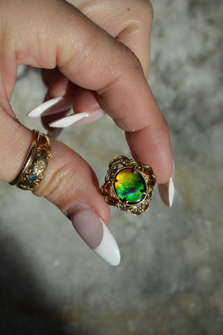 14K AMMOLITE RING