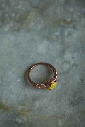 OPAL GUMMY
