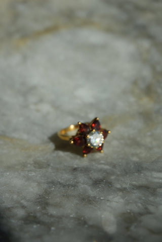 GARNET DAISY SZ 7