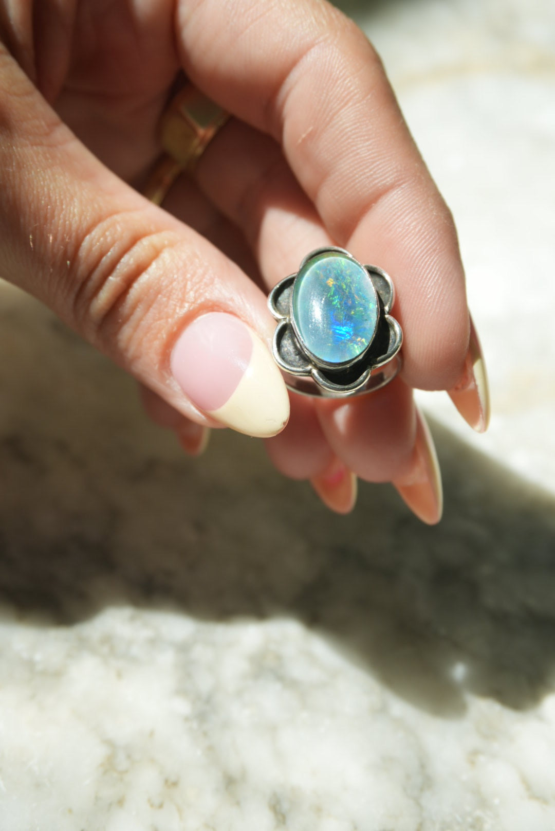 DARK OPAL DAISY SZ 5