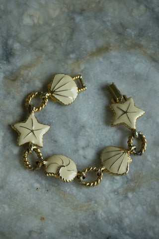 IVORY SHELLS