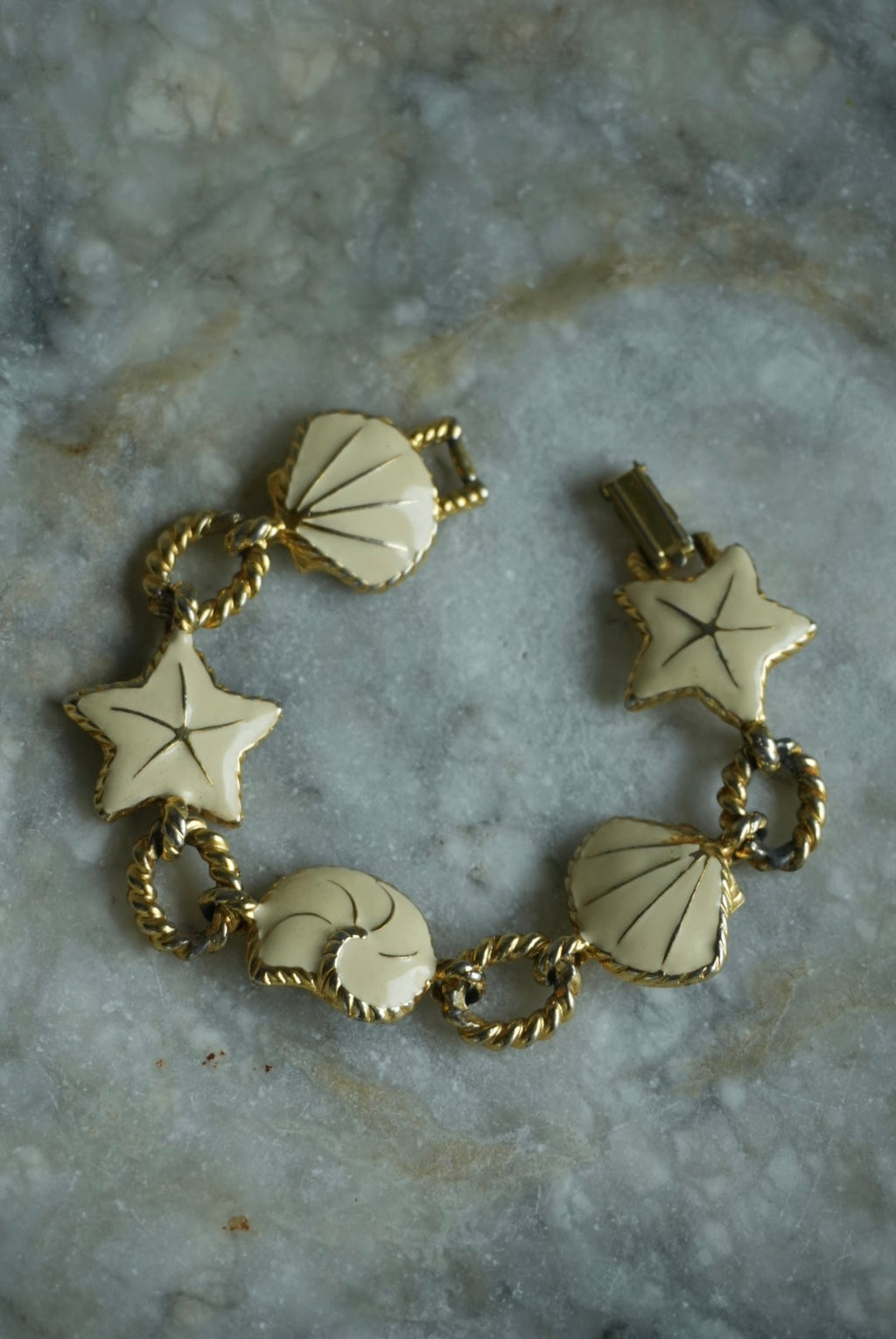IVORY SHELLS