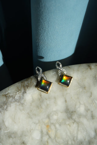 14K AMMOLITE EARRINGS