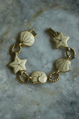 IVORY SHELLS