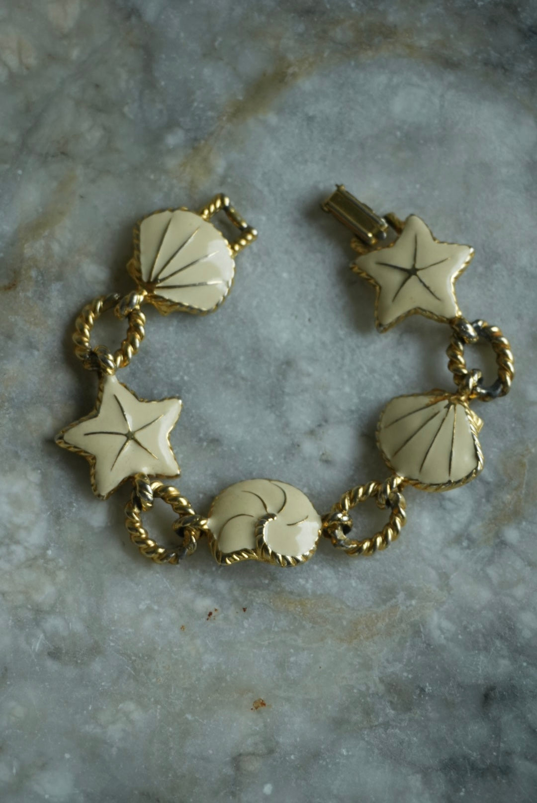 IVORY SHELLS