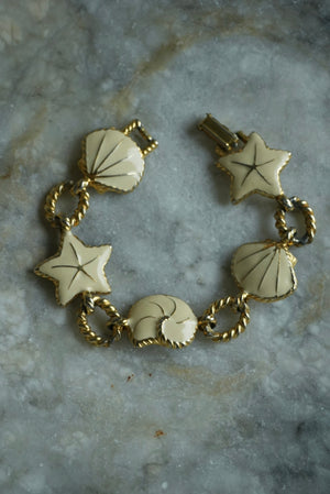 IVORY SHELLS