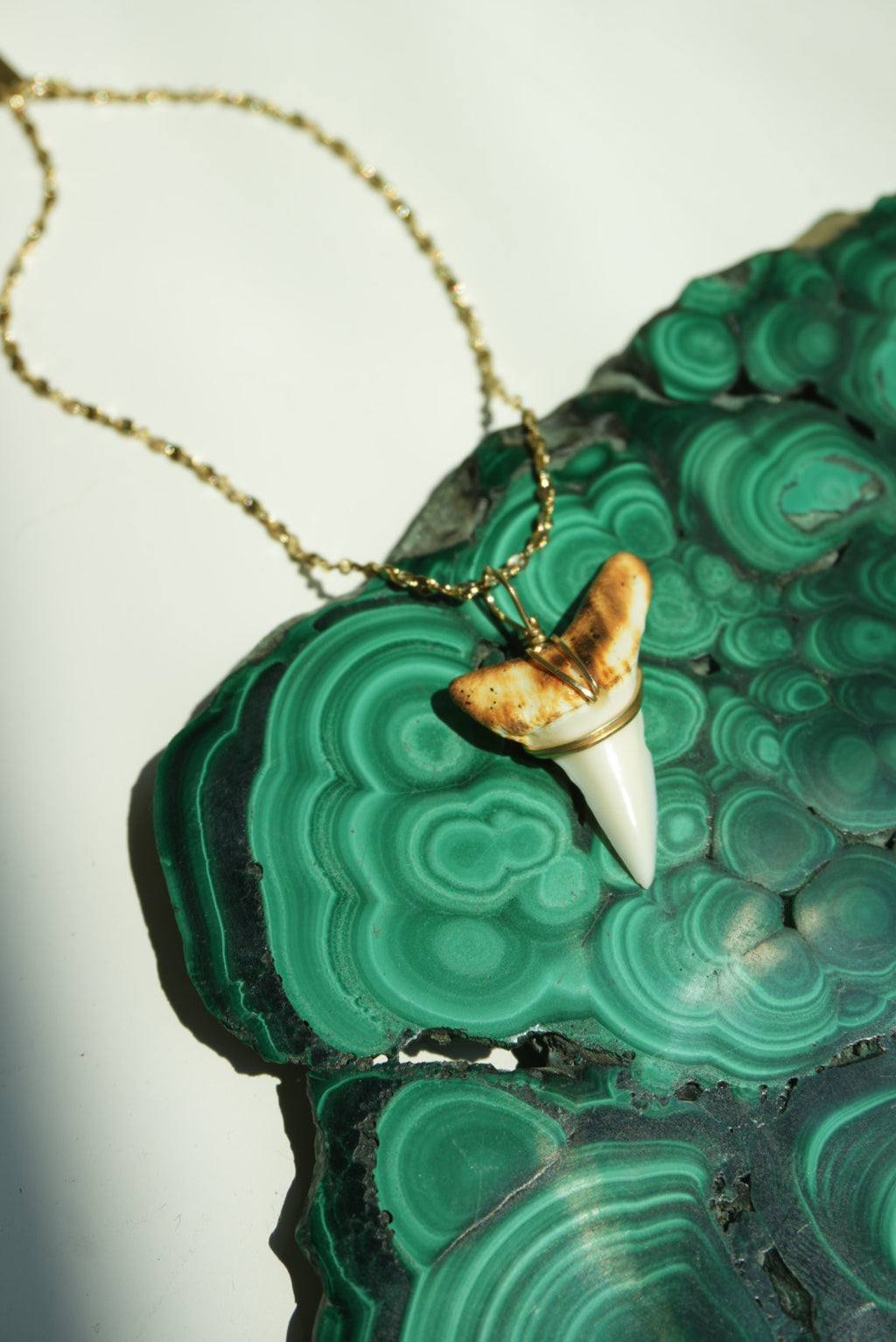 SHARKTOOTH