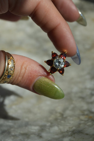 GARNET DAISY SZ 7
