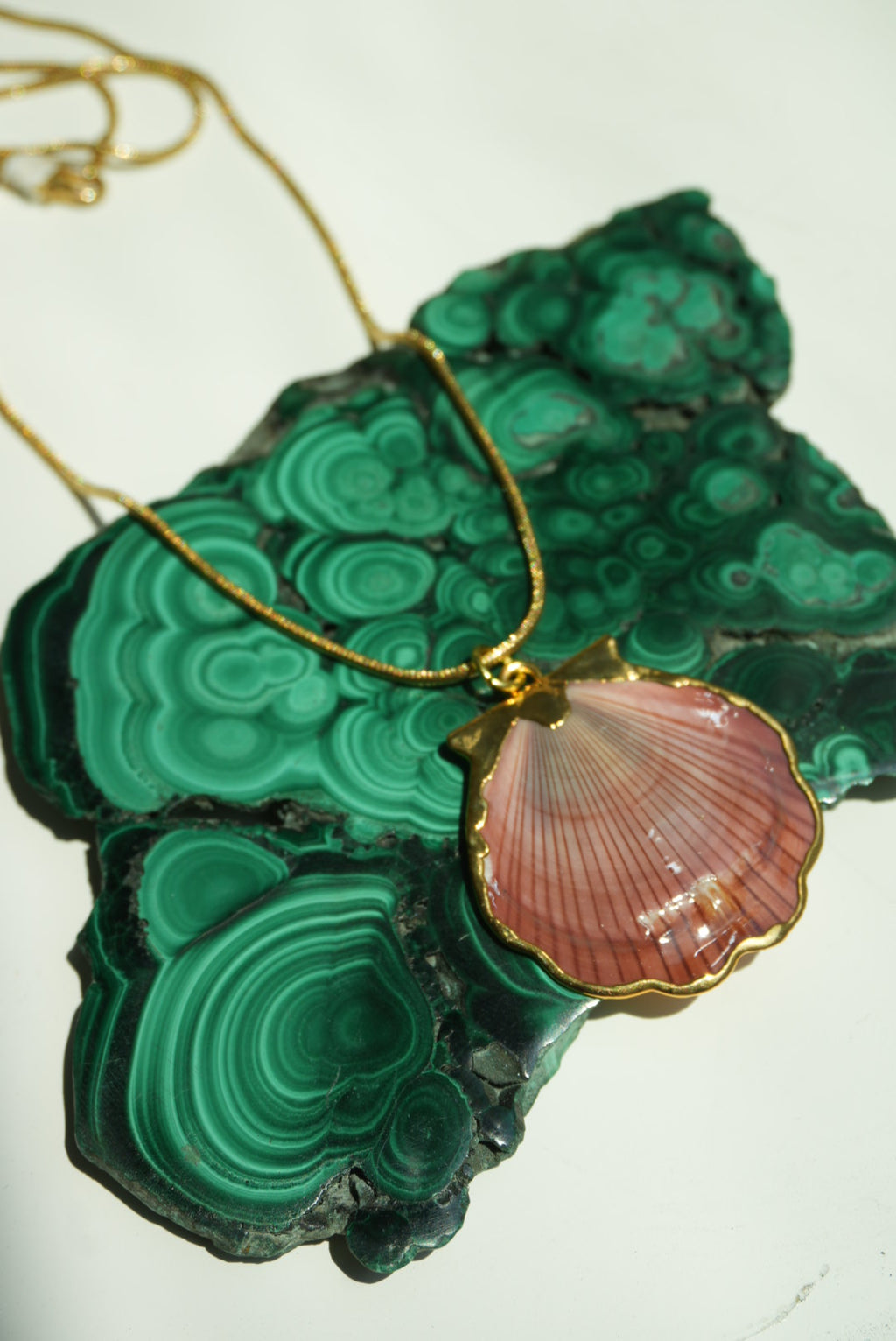 SHELL #1
