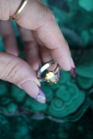 CITRINE DREAMSCAPE SZ 7