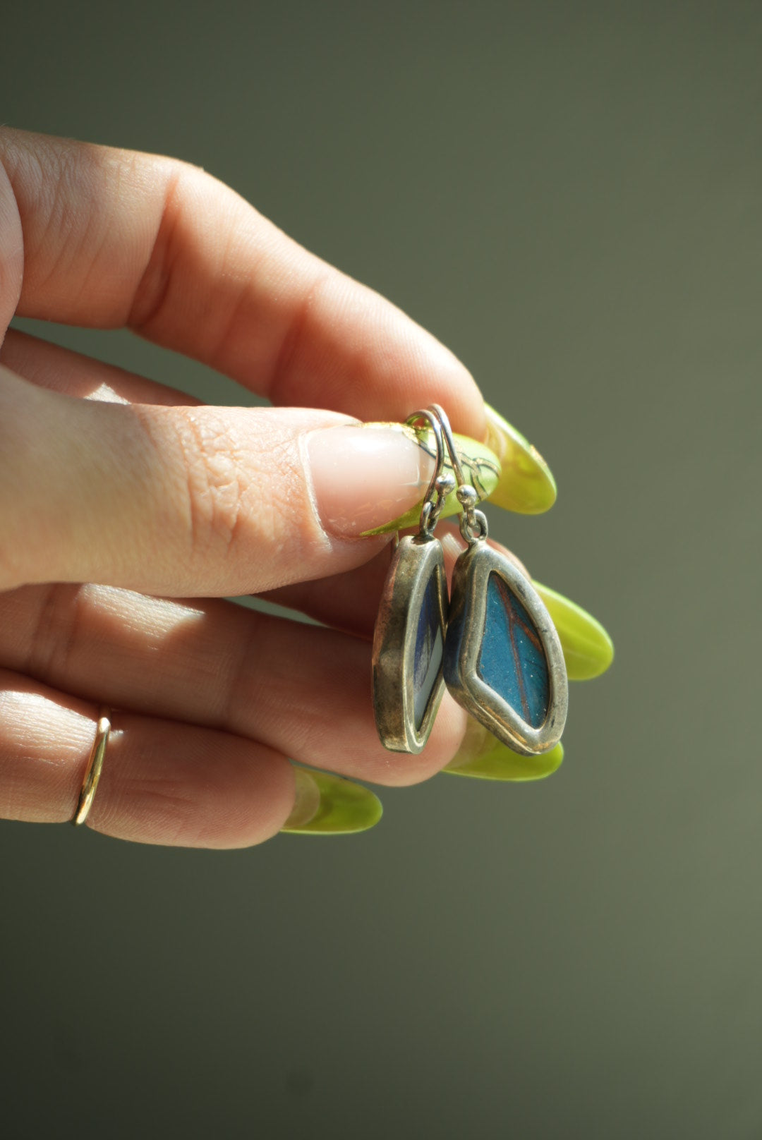 MORPHO BUTTERFLY WINGS
