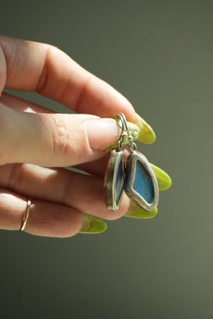 MORPHO BUTTERFLY WINGS