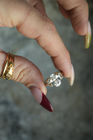 LITTLE ENGAGING SZ 5