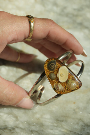 SEASHELL LADY
