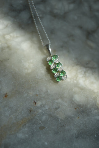 GREEN IVY