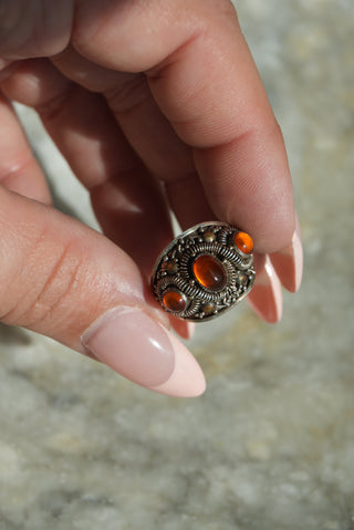 AMBER UNIVERSE SZ 7