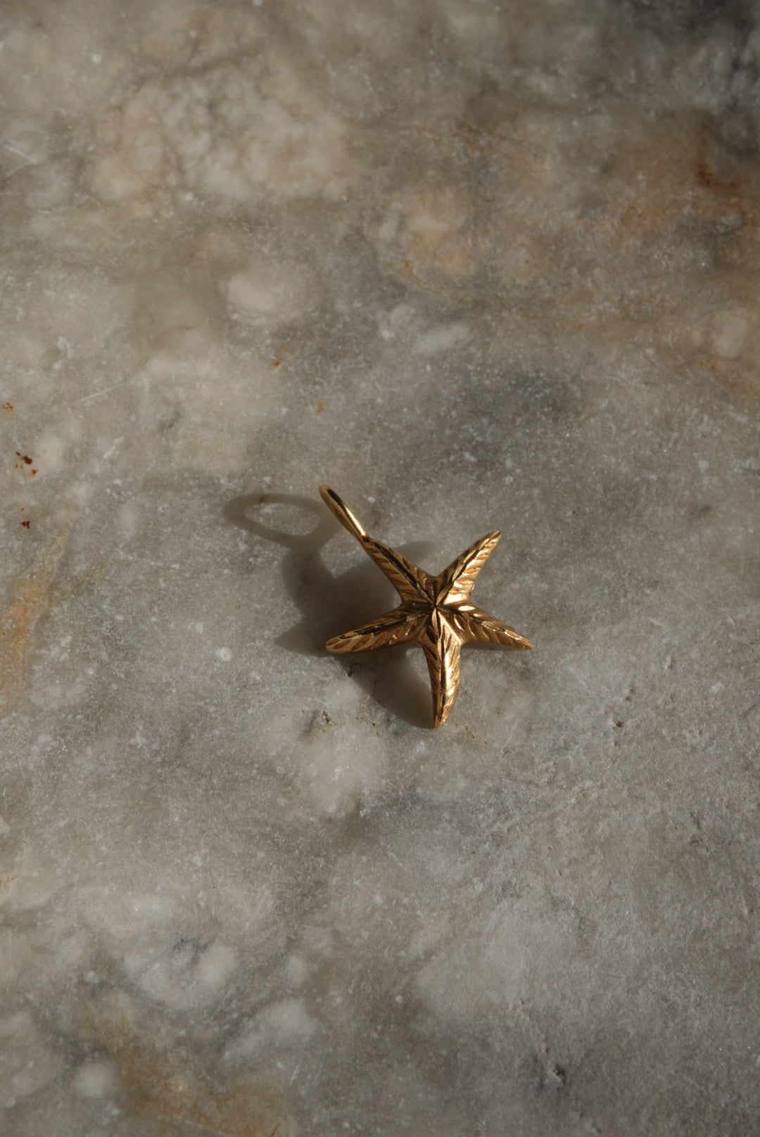 LITTLE STARFISH