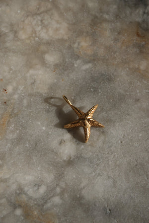 LITTLE STARFISH